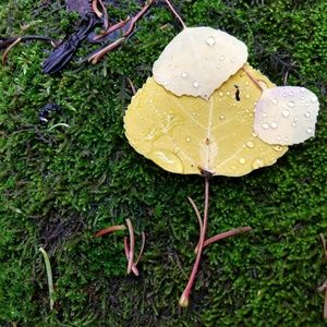 Meet your Posher, Jeff